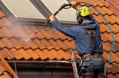 Démoussage et hydrofuge de toiture à Aiguillon